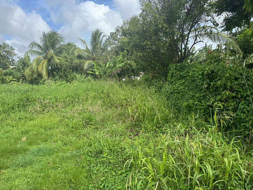 Terrain à LE LAMENTIN
