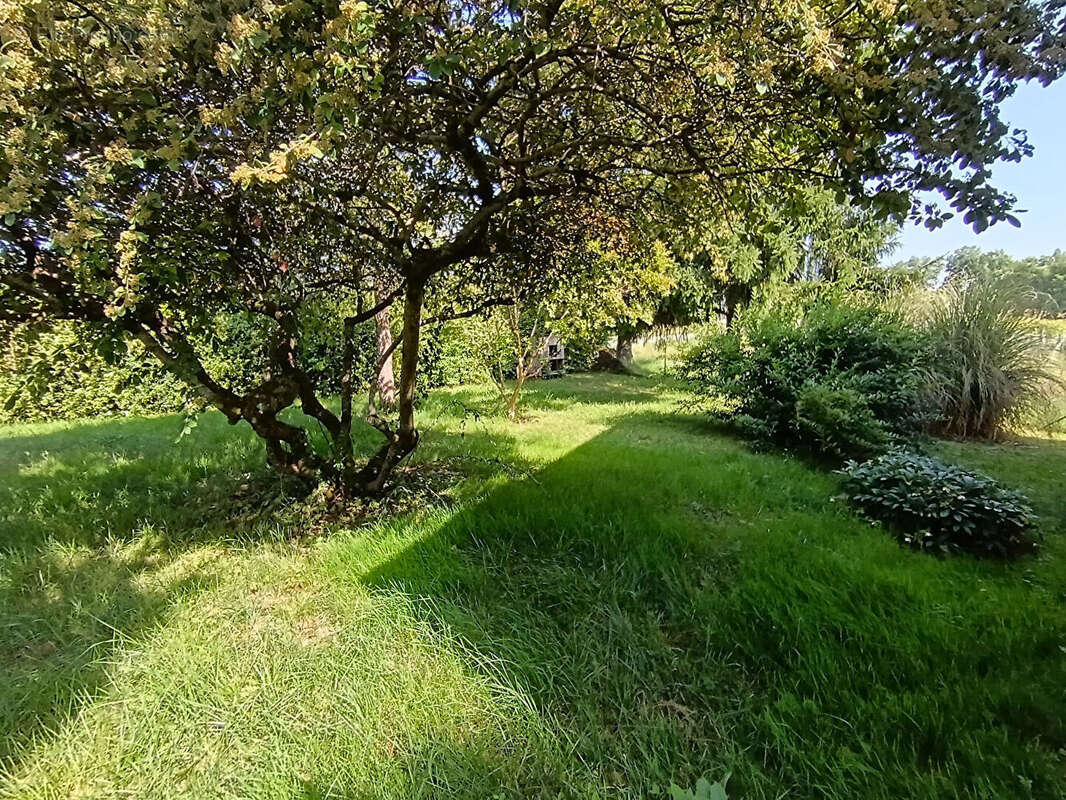 Maison à SAINT-NAZAIRE-DE-VALENTANE