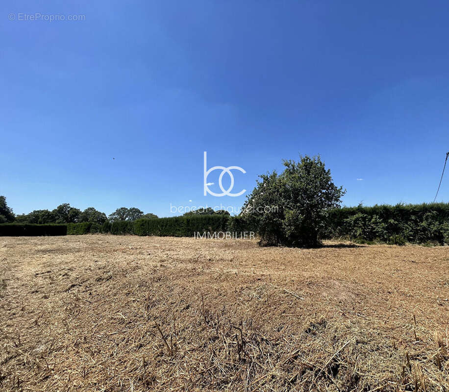 Terrain à LA TRINITE-SURZUR