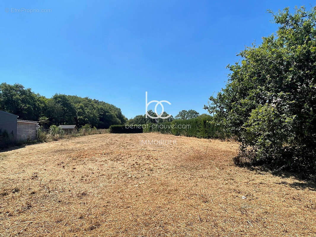 Terrain à LA TRINITE-SURZUR