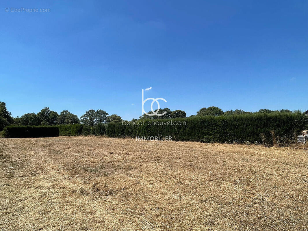 Terrain à LA TRINITE-SURZUR