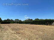 Terrain à LA TRINITE-SURZUR