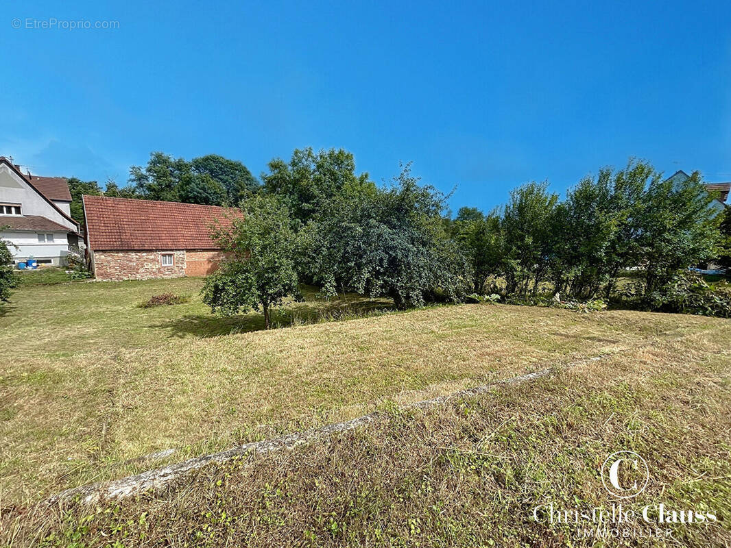 Terrain à GUNDERSHOFFEN