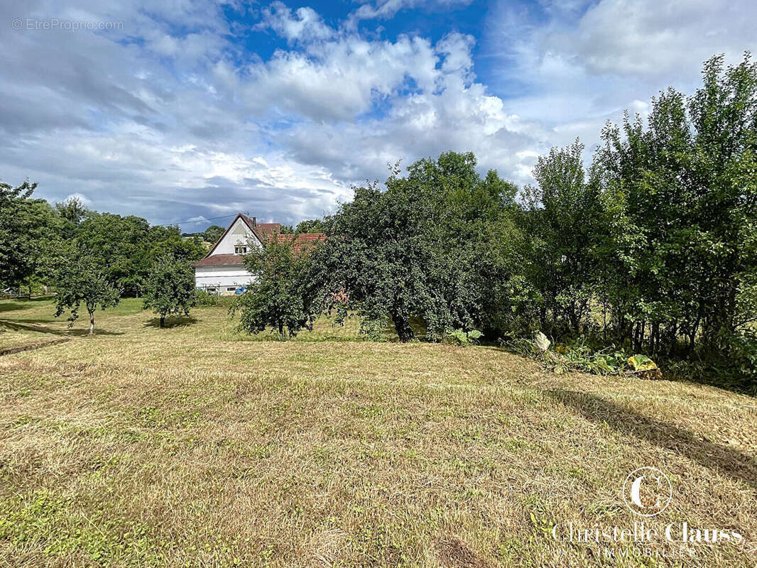 Terrain à GUNDERSHOFFEN