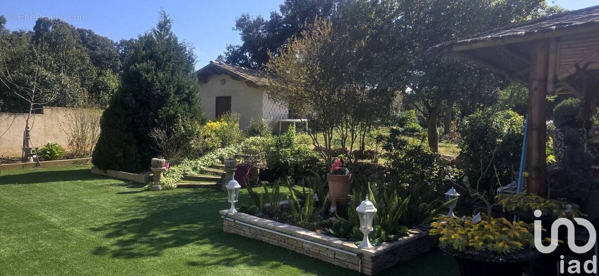 Photo 1 - Maison à BALARUC-LE-VIEUX