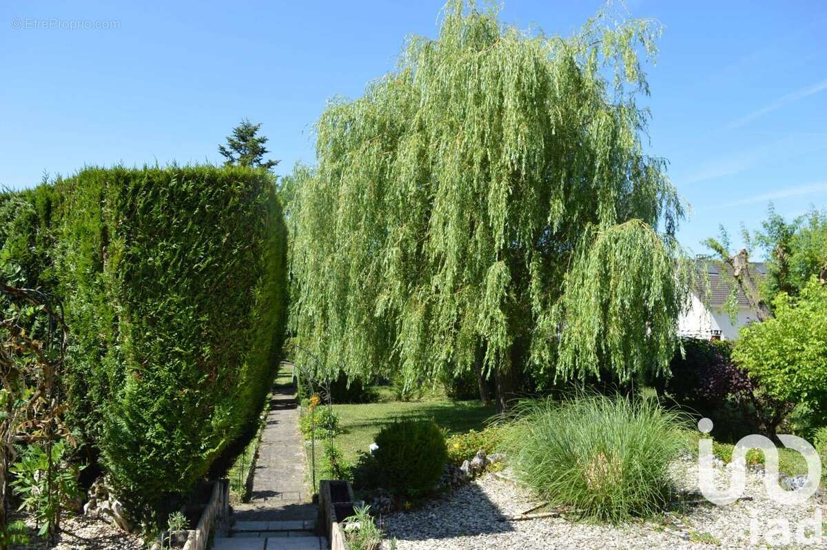 Photo 3 - Maison à SAINT-GEORGES-SUR-BAULCHE
