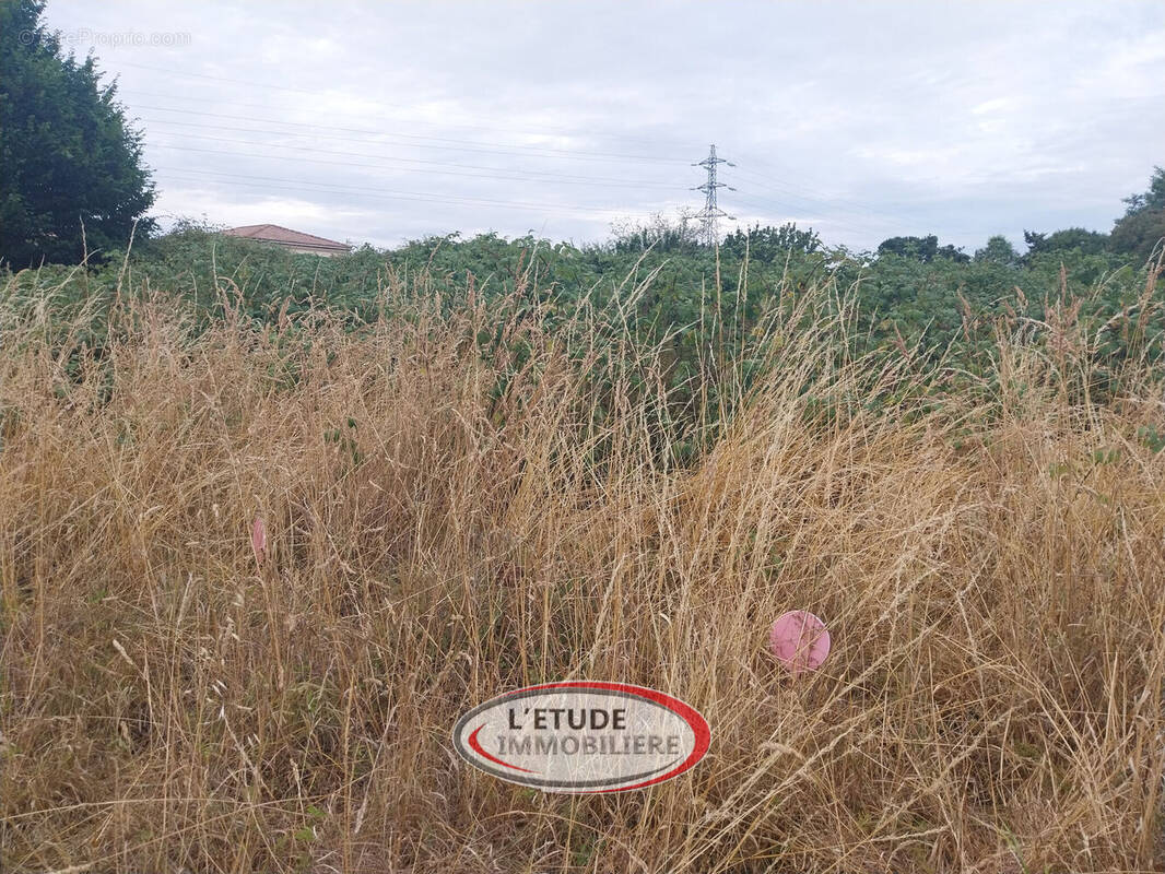 Photo 1 - Terrain à SAINTE-PAZANNE