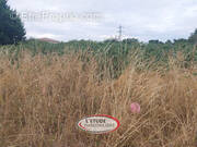 Photo 1 - Terrain à SAINTE-PAZANNE