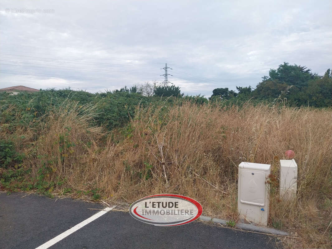 Photo 2 - Terrain à SAINTE-PAZANNE