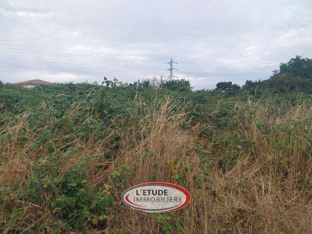 Photo 3 - Terrain à SAINTE-PAZANNE