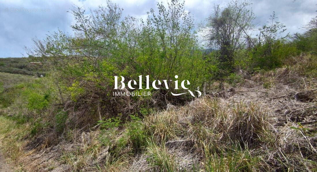 Terrain à BAILLIF