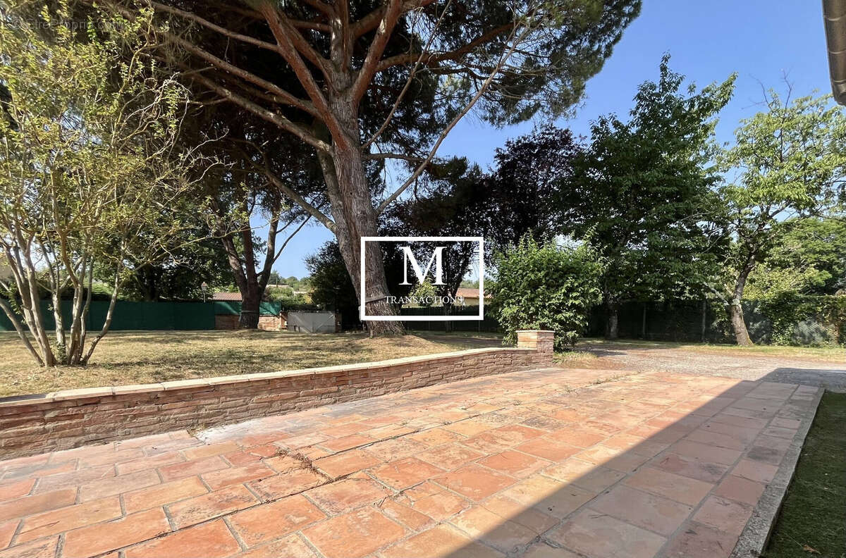 Large terrasse côté Sud - Maison à SAINTE-FOY-D&#039;AIGREFEUILLE