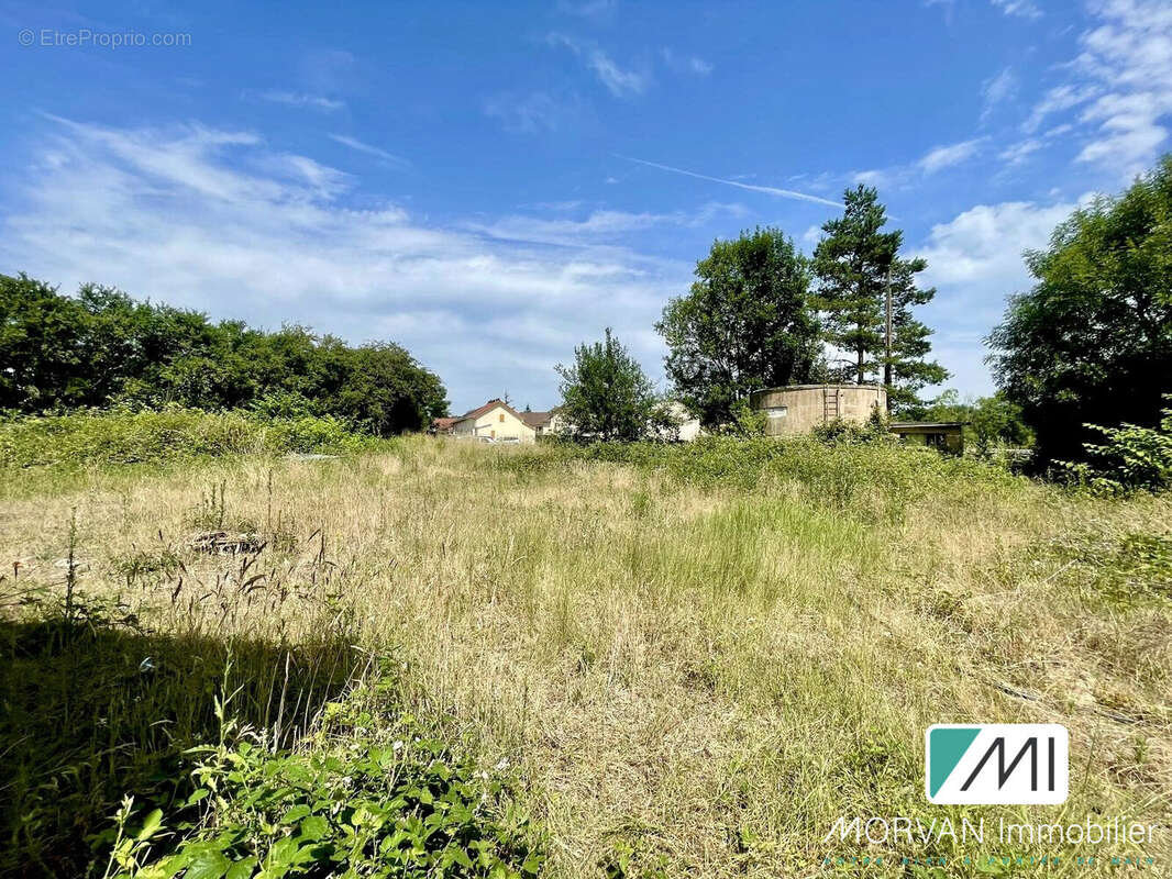 Commerce à RAMBOUILLET