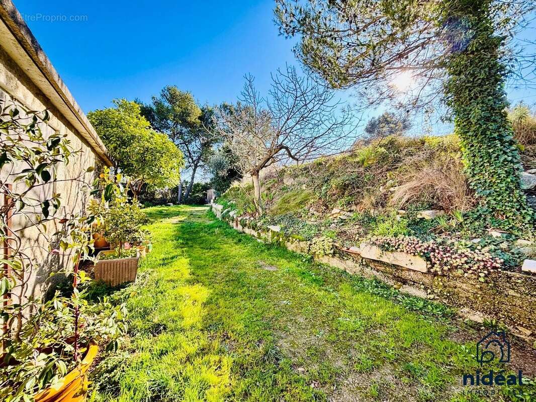 Terrain à CALVISSON