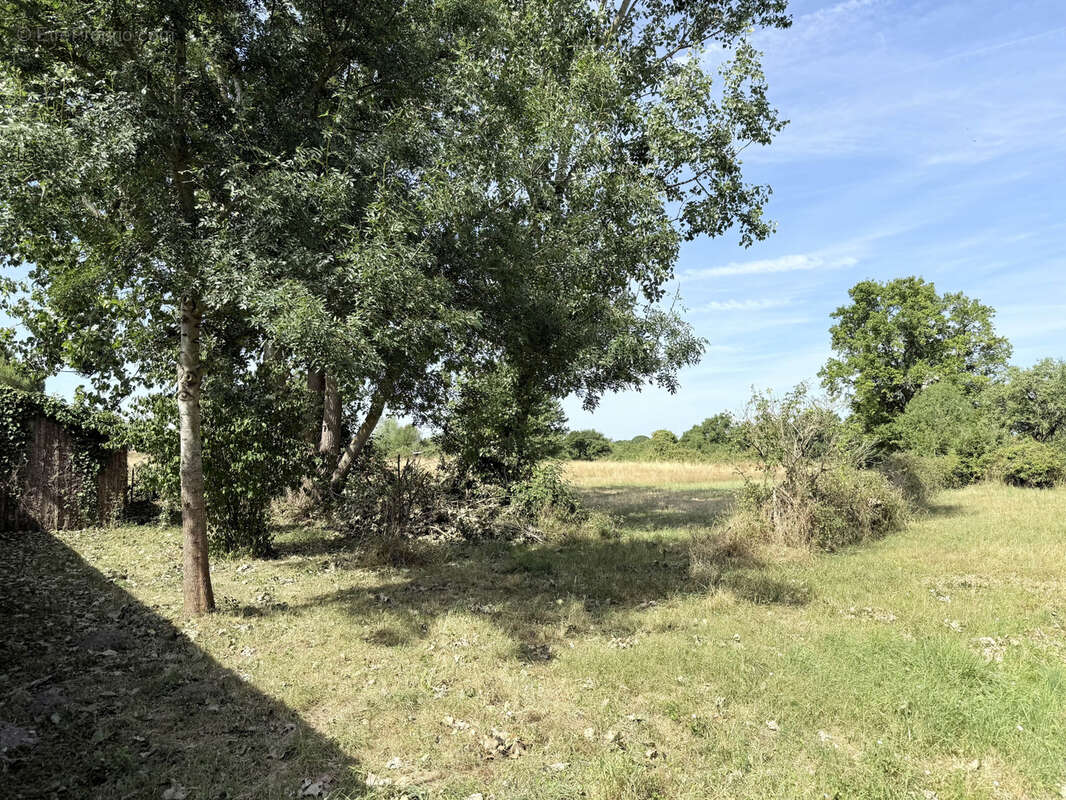 Maison à MERY-SUR-CHER