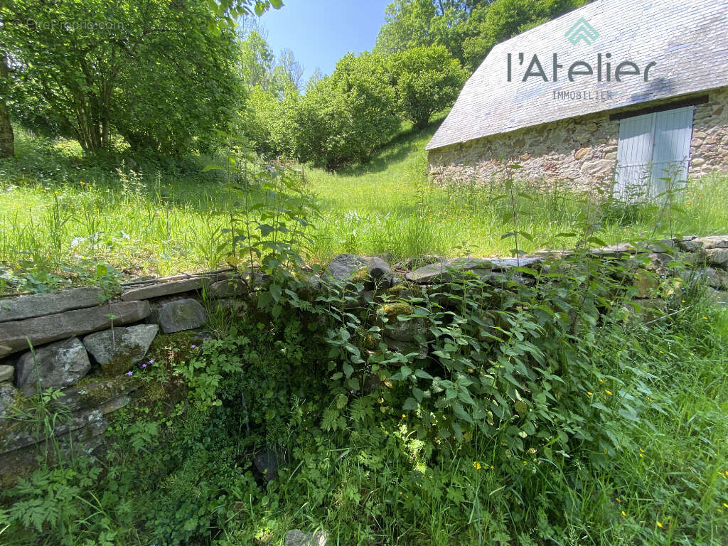 Maison à BEYREDE-JUMET