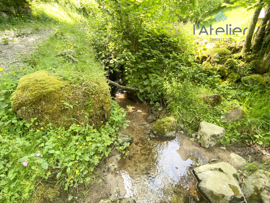 Maison à BEYREDE-JUMET