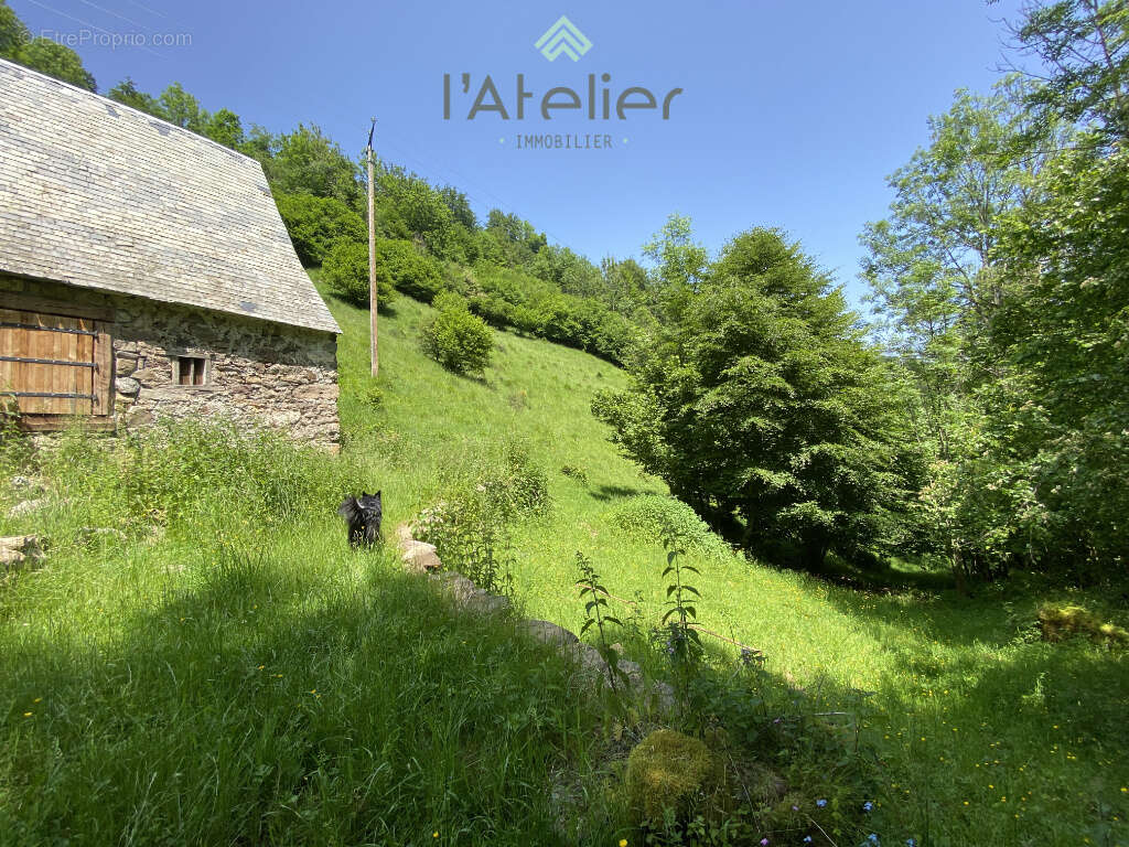 Maison à BEYREDE-JUMET