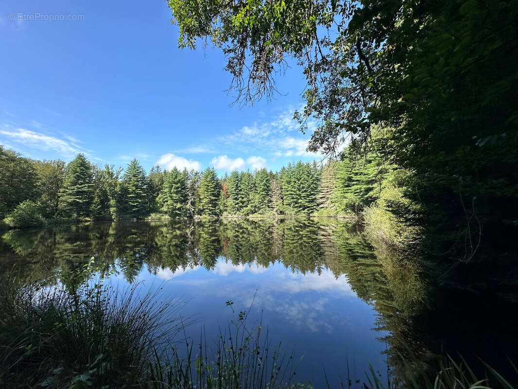 Terrain à LUXEUIL-LES-BAINS