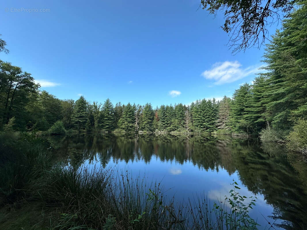 Terrain à LUXEUIL-LES-BAINS