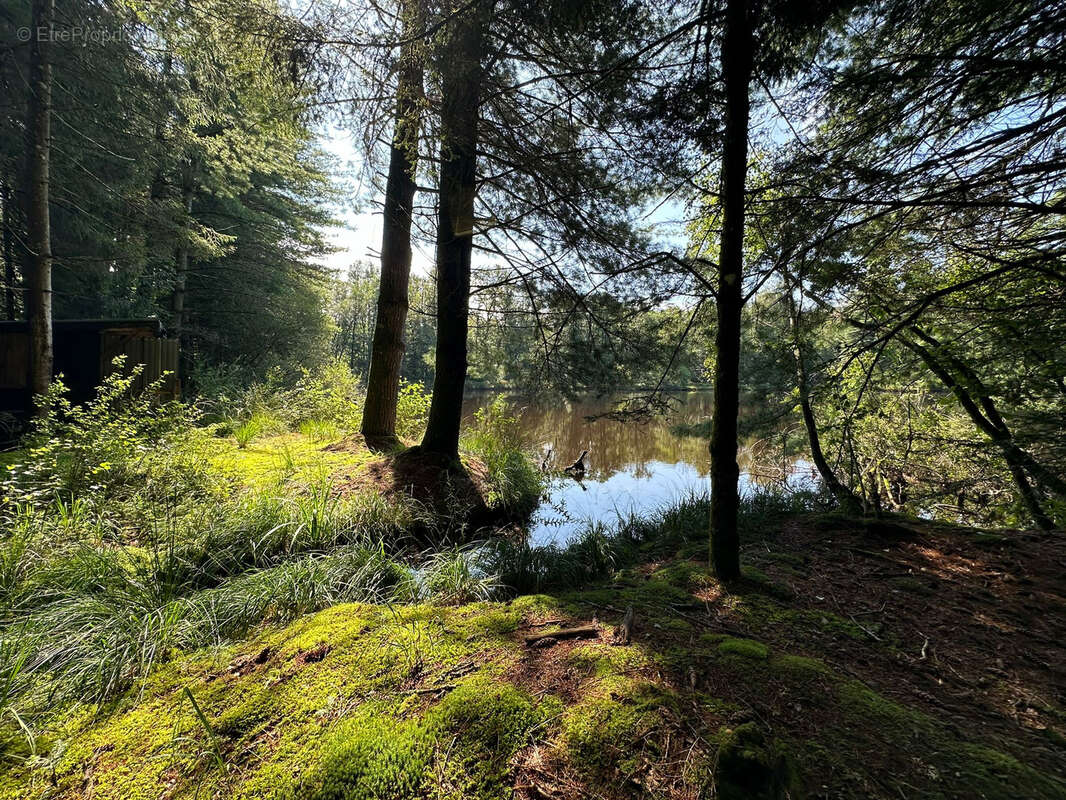 Terrain à LUXEUIL-LES-BAINS