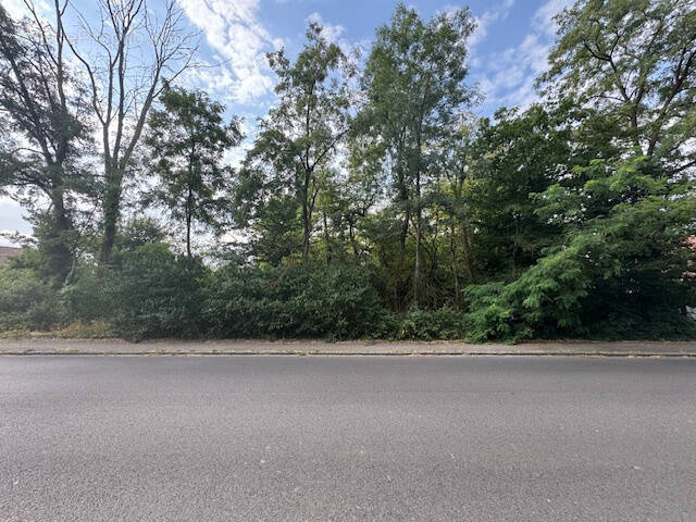 Terrain à REININGUE