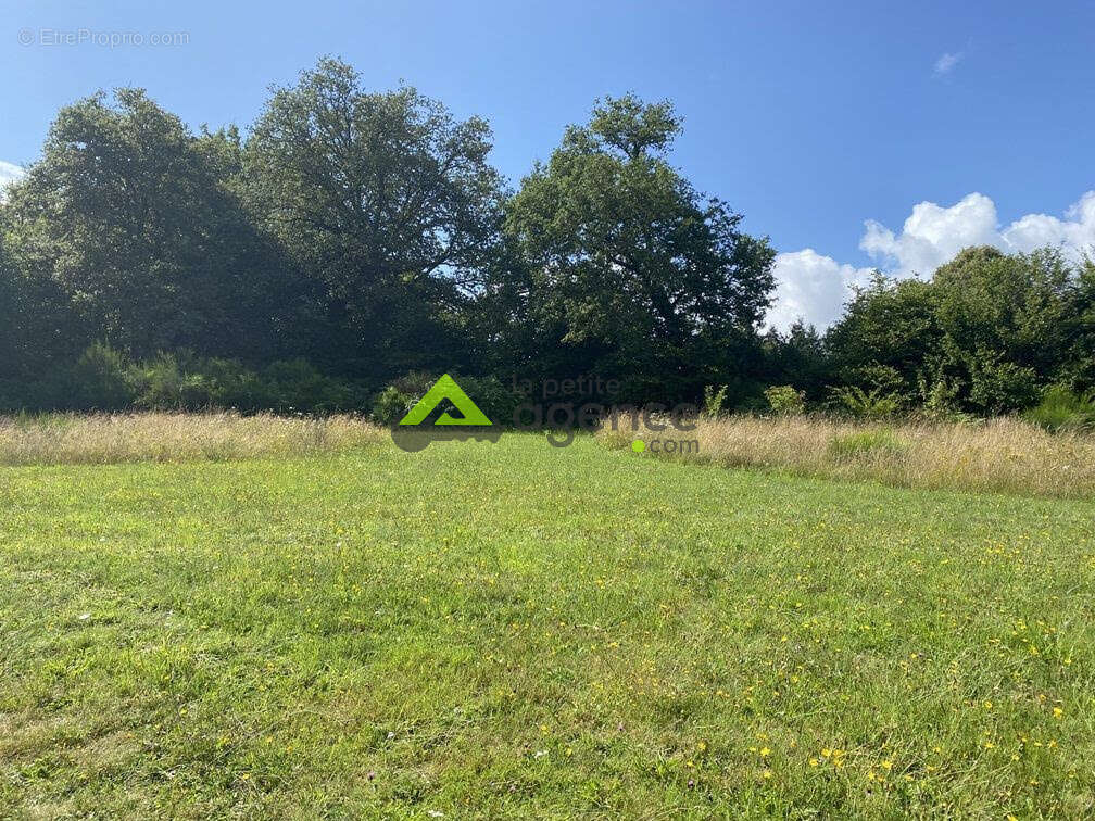 Maison à ROYERE-DE-VASSIVIERE