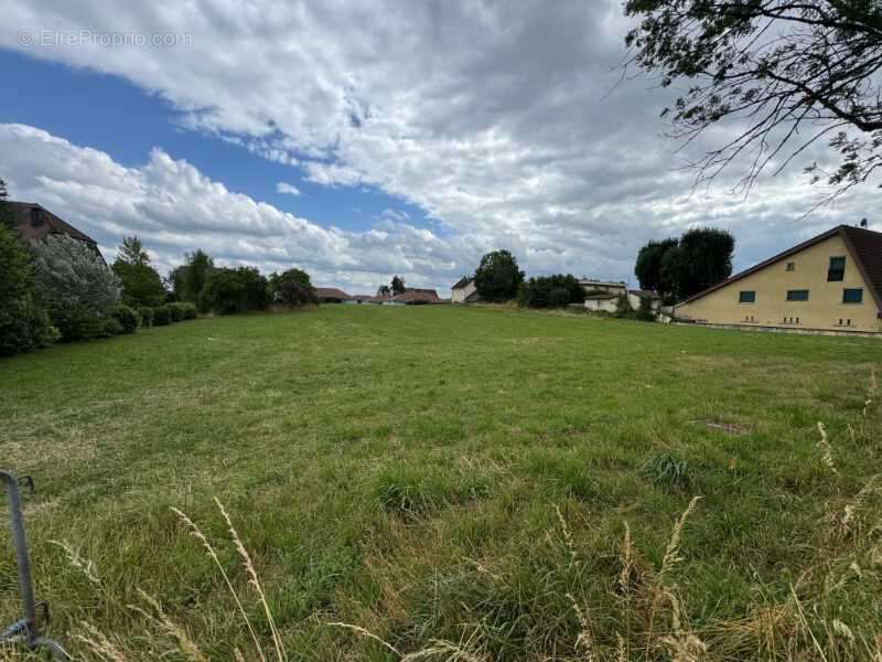 Terrain à DESANDANS