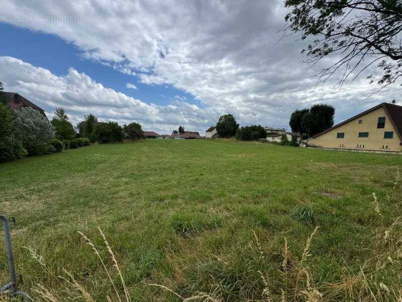 Terrain à DESANDANS