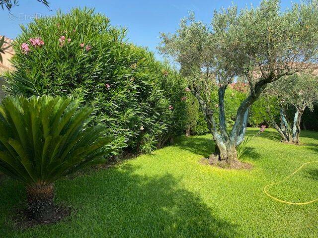 Maison à USCLAS-D&#039;HERAULT