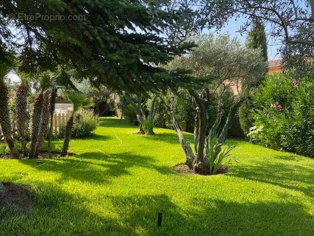 Maison à USCLAS-D&#039;HERAULT