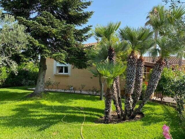 Maison à USCLAS-D&#039;HERAULT