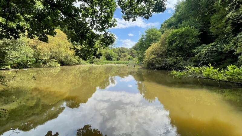 Maison à MONCONTOUR
