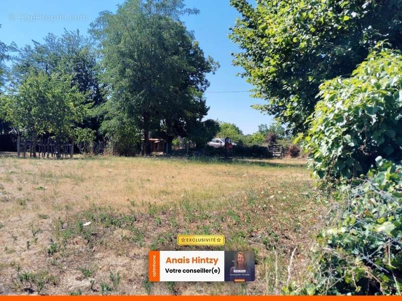 Terrain à VALLON-EN-SULLY