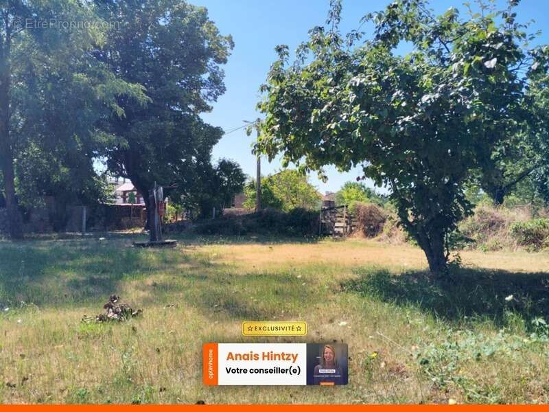 Terrain à VALLON-EN-SULLY