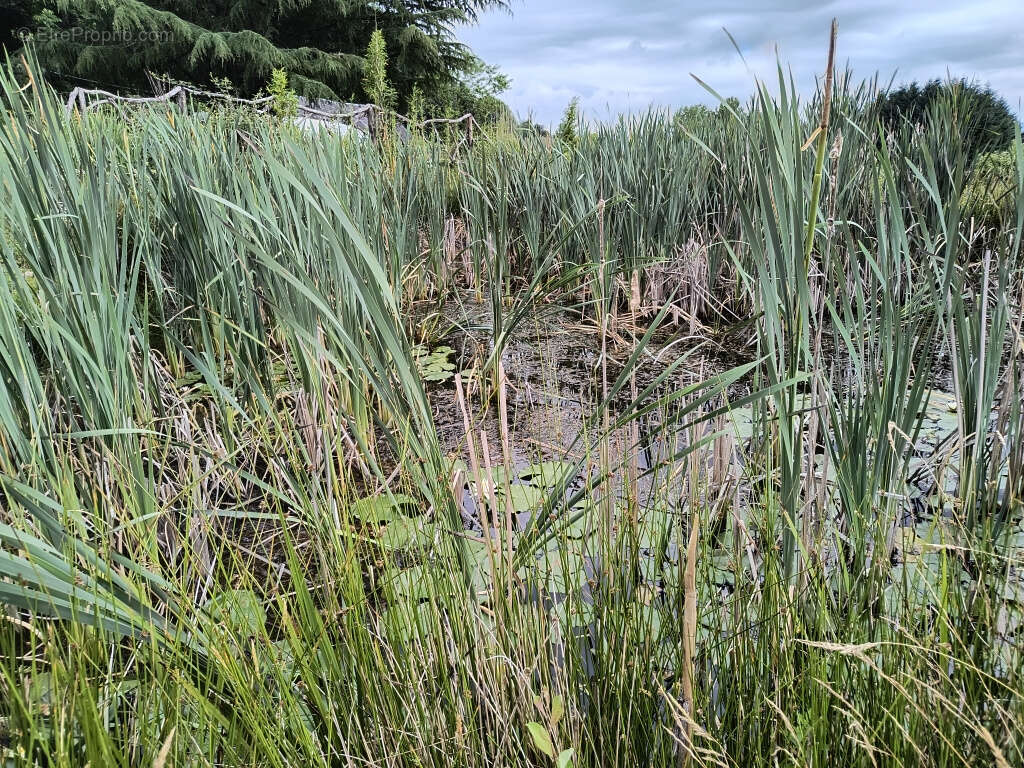 Maison à SAINT-PARDOUX-L&#039;ORTIGIER