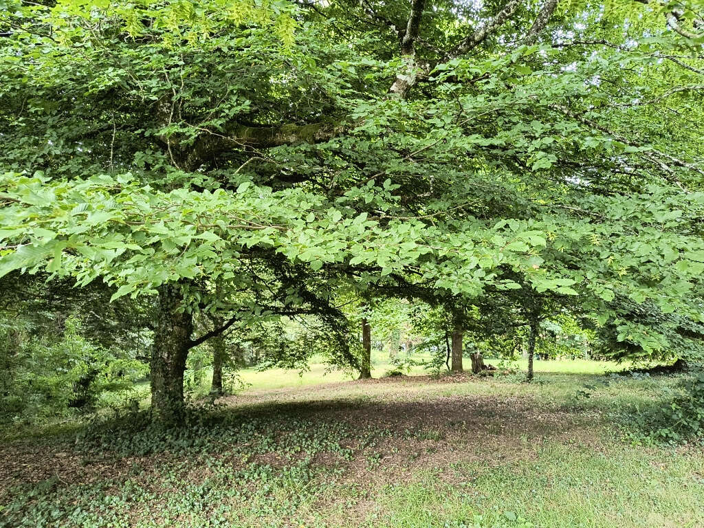 Maison à SAINT-PARDOUX-L&#039;ORTIGIER