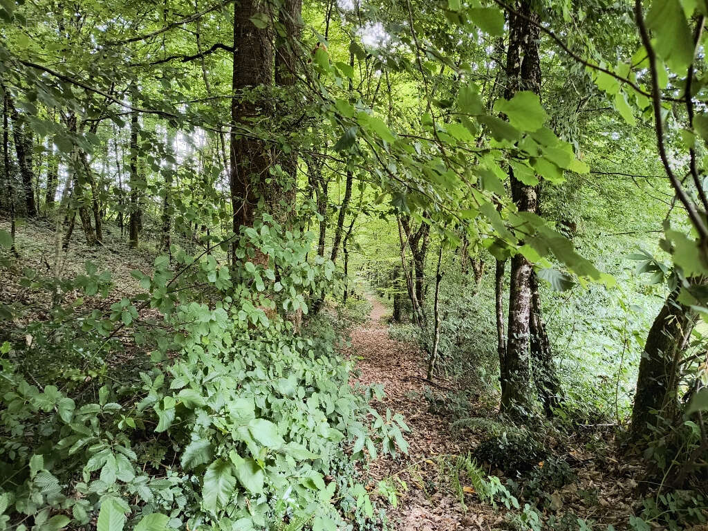 Maison à SAINT-PARDOUX-L&#039;ORTIGIER