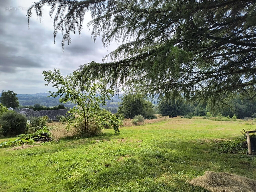 Maison à SAINT-PARDOUX-L&#039;ORTIGIER