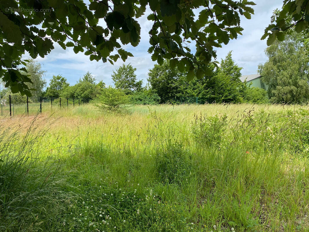 Terrain à LEFOREST