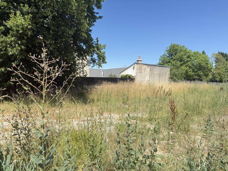 Terrain à VITRY-AUX-LOGES