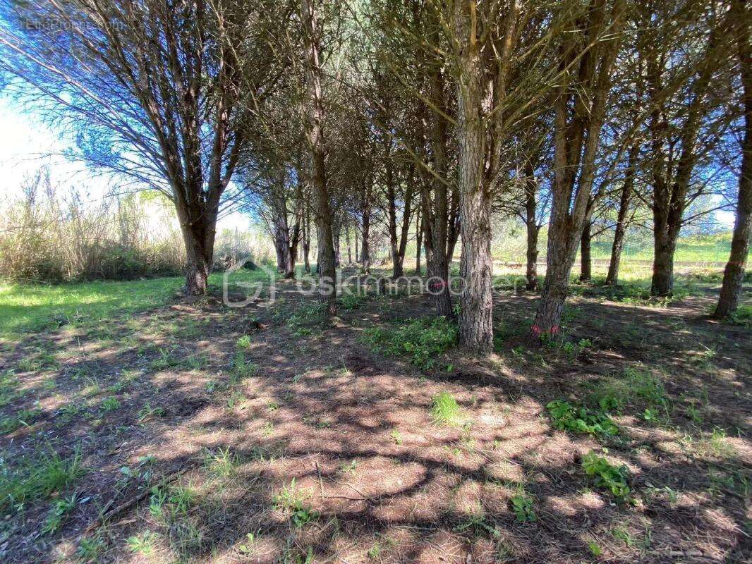 Maison à ROQUEBRUNE-SUR-ARGENS