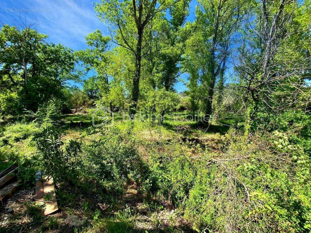 Maison à ROQUEBRUNE-SUR-ARGENS
