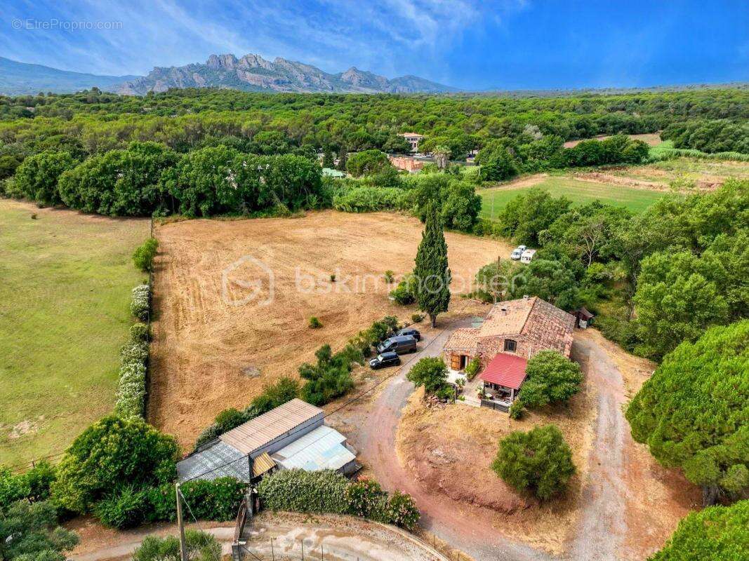 Maison à ROQUEBRUNE-SUR-ARGENS