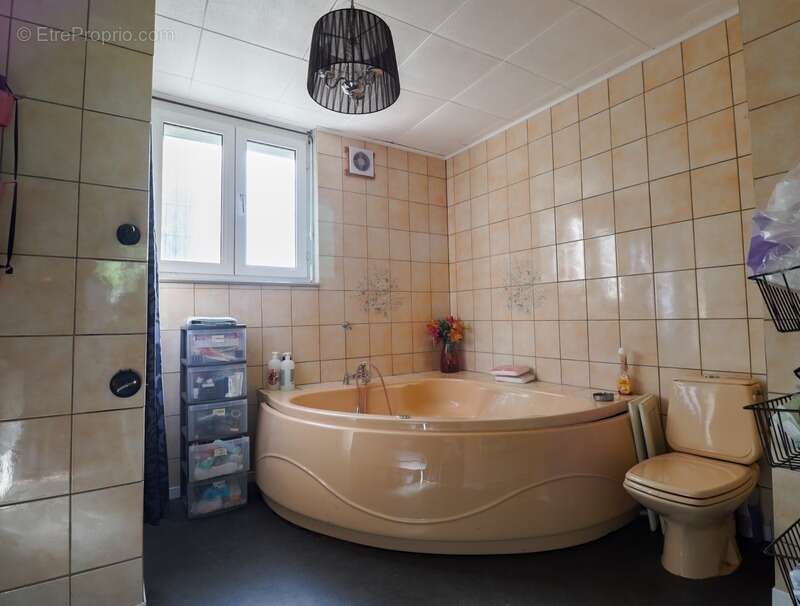 Maison à LA SALVETAT-SUR-AGOUT