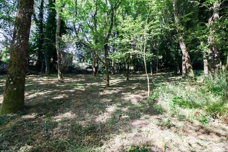 Maison à LA SALVETAT-SUR-AGOUT