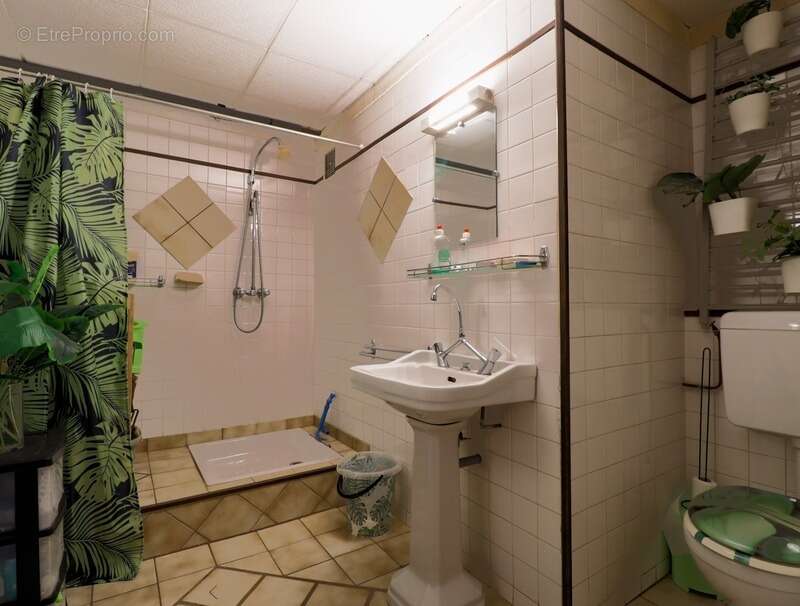 Maison à LA SALVETAT-SUR-AGOUT