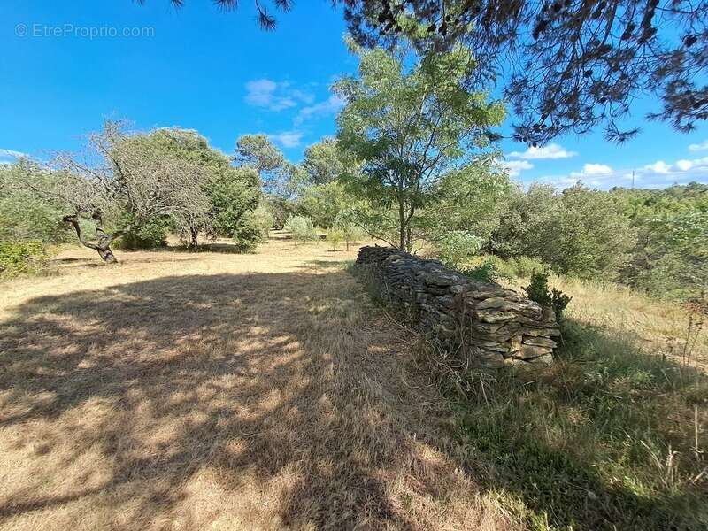Maison à CONQUES-SUR-ORBIEL