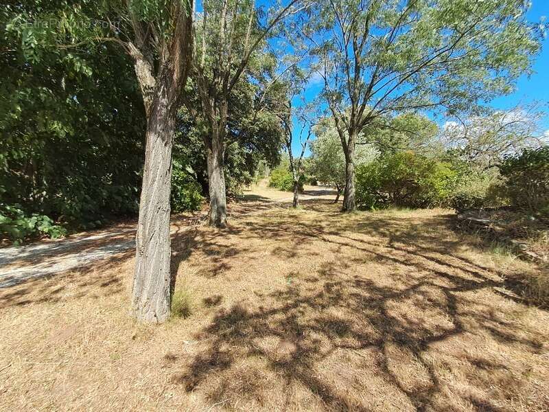 Maison à CONQUES-SUR-ORBIEL