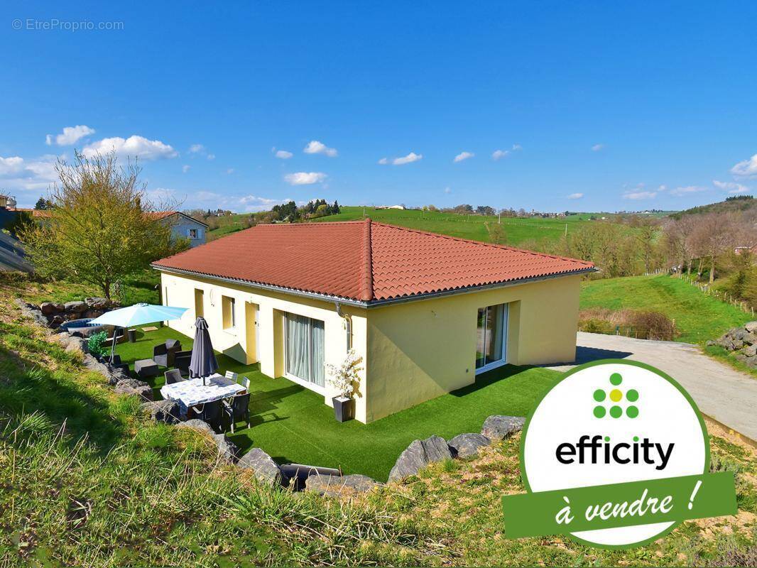 Maison à CHAZELLES-SUR-LYON